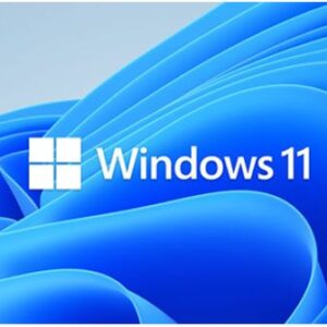Microsoft Windows 11 Professional for Workstation 64 BIT - By Order NEW
