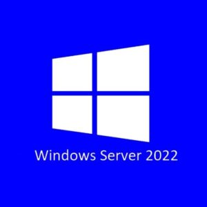 Microsoft Server Standard 2022 ( 24 Core ) OEM Physical Pack - P73-08346 Includes 2 x VM, Does not include any CALs Product Key in pack